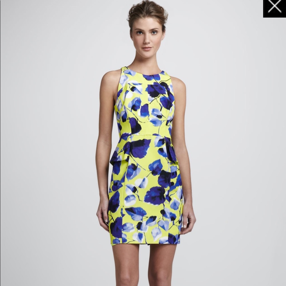 Milly dress
